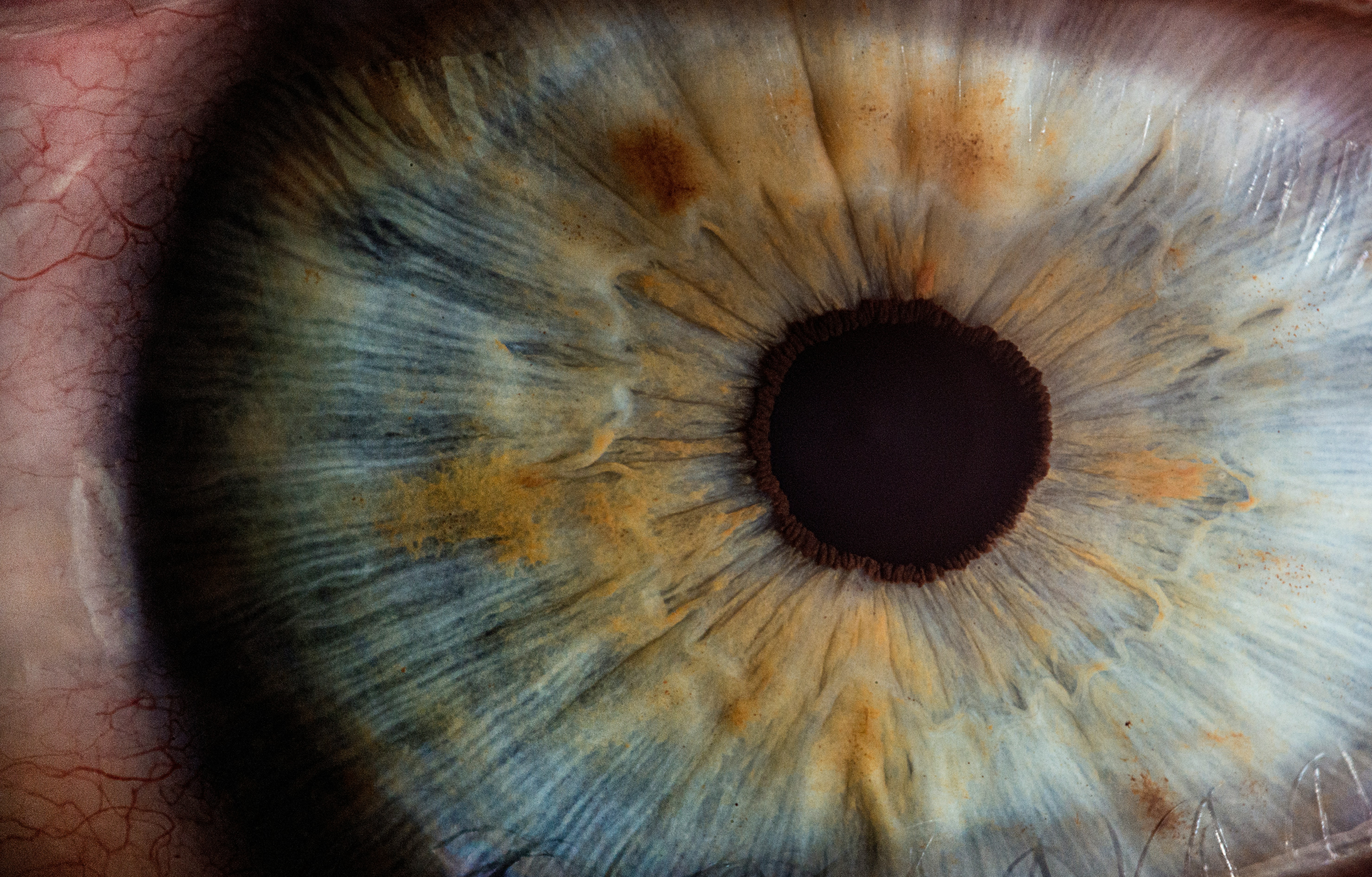 A macro photograph of a human eye, showing brown, yellow, and blue tones making up the iris.