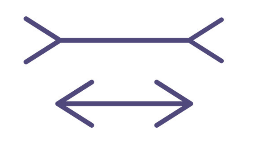 Two horizontal lines of the same length. The top line ends with arrows pointing inward while the bottom has arrows pointing outward.