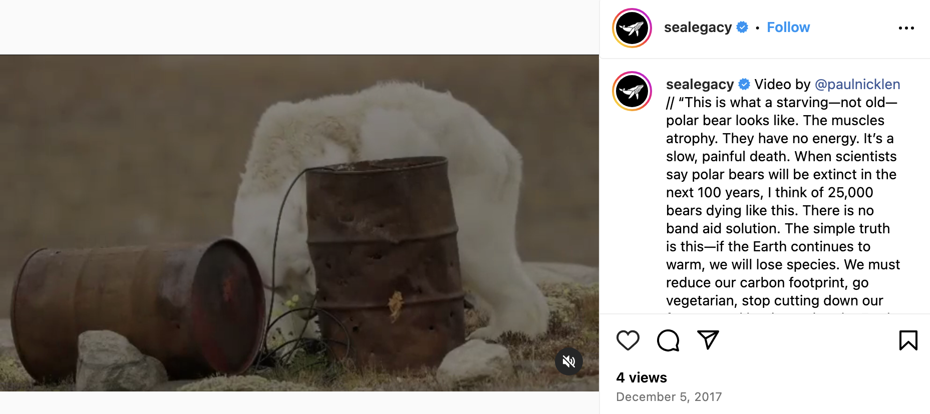 Instagram post showing an emaciated polar bear captioned “This is what a starving—not old—polar bear looks like.”